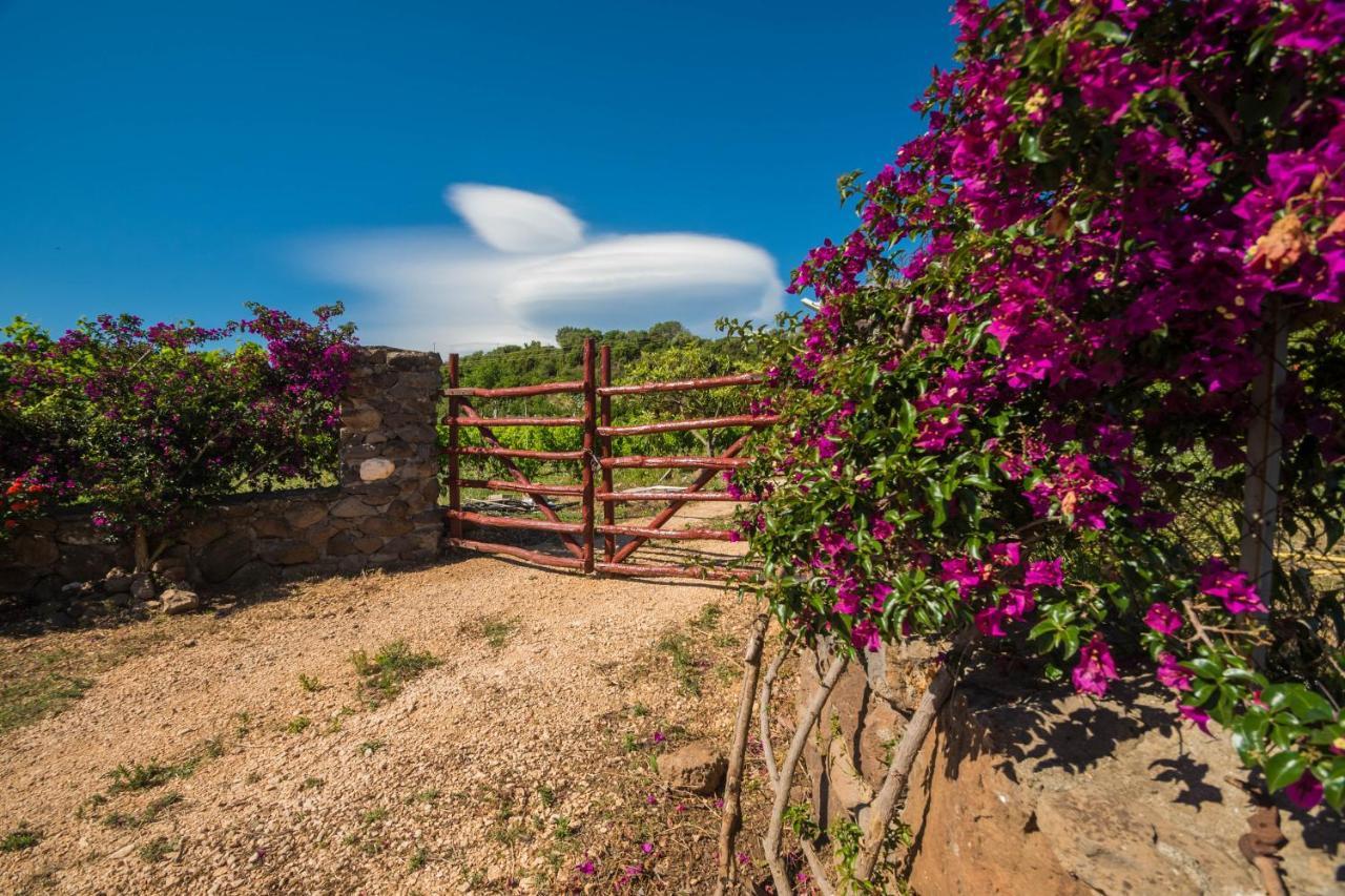 Sa Tanca 'E Pedduzza Villa Orosei Luaran gambar